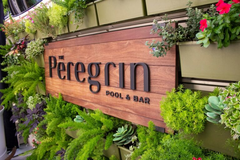 1675694747963 69303127 481289452697995 6432577969532698624 n 768x512