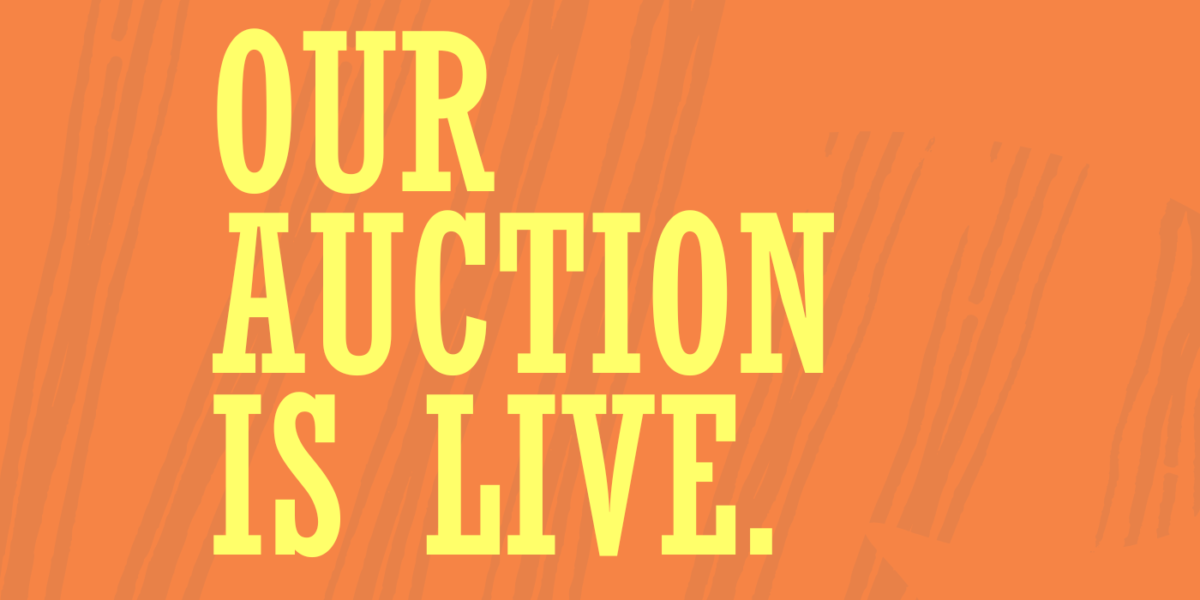 Auction Web (1)